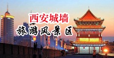 男人用大鸡吧插女人小穴在线免费看中国陕西-西安城墙旅游风景区